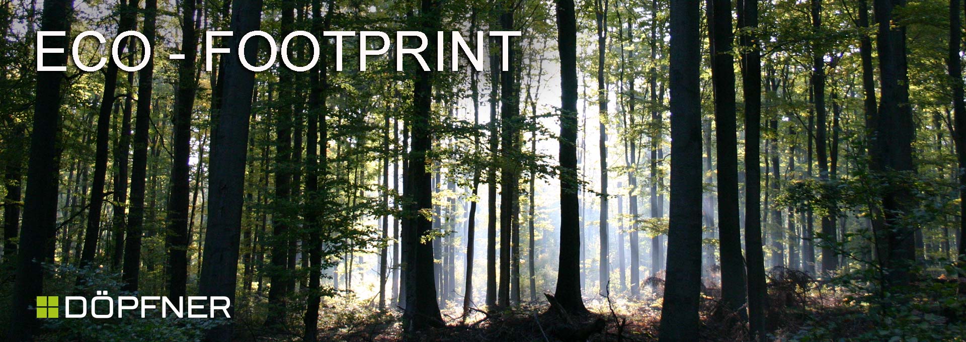 GANZHEITLICHE UMWELT-FUSSABDRUCK