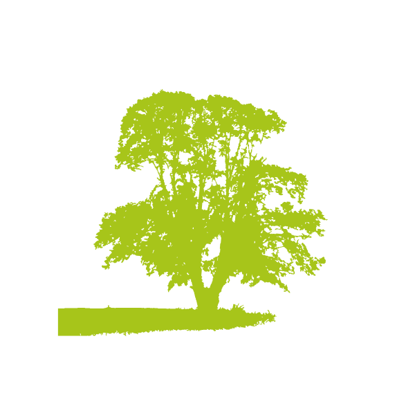 ökologischer Fußabdruck