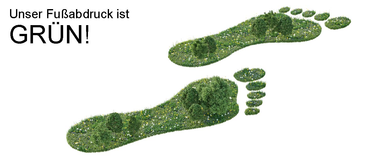 GANZHEITLICHE UMWELT-FUSSABDRUCK